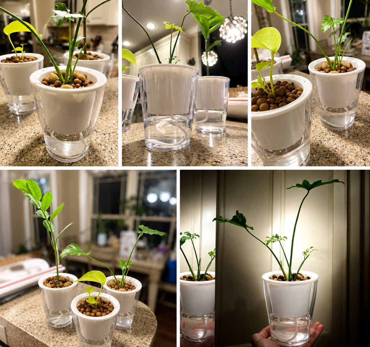 Self-Watering Planters , 3 Packs